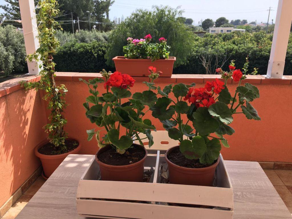 La Stanza Delle Muse In Villa Con Piscina Fontane Bianche Exterior foto